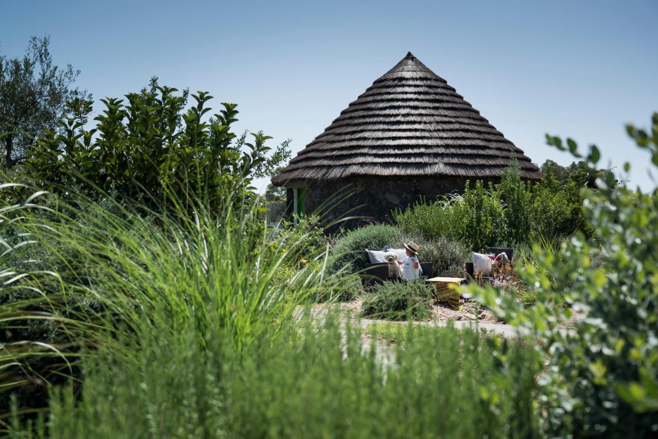 Is Cheas wine farm boutique hotel San Vero Milis Extérieur photo