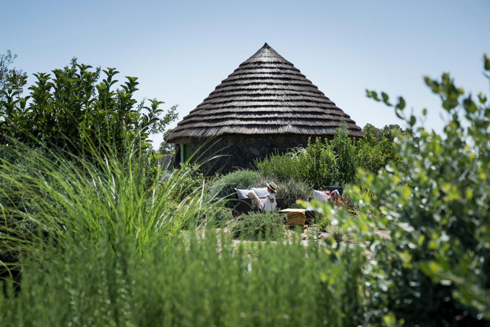 Is Cheas wine farm boutique hotel San Vero Milis Extérieur photo