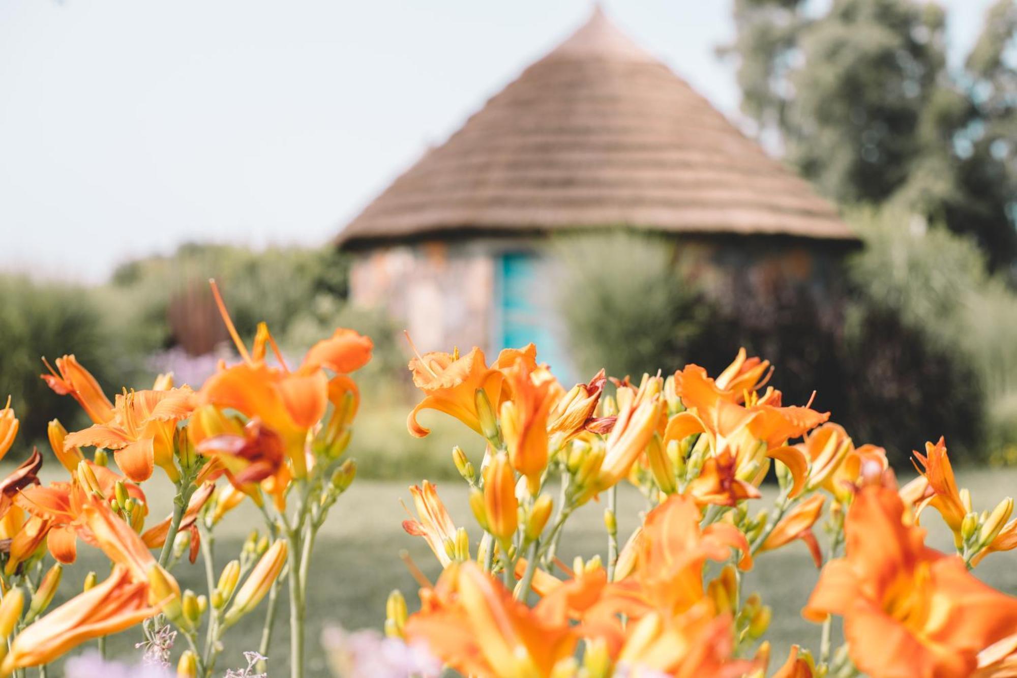 Is Cheas wine farm boutique hotel San Vero Milis Chambre photo