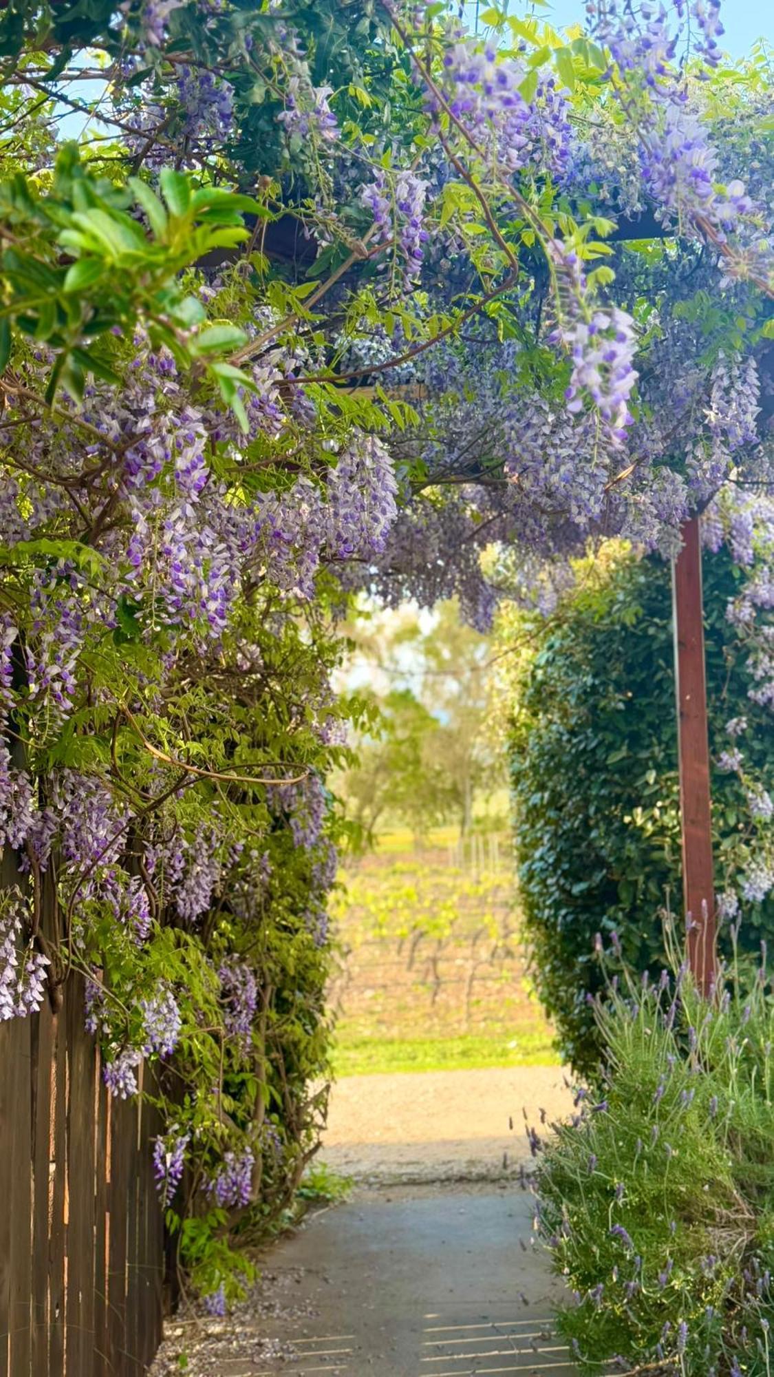 Is Cheas wine farm boutique hotel San Vero Milis Extérieur photo