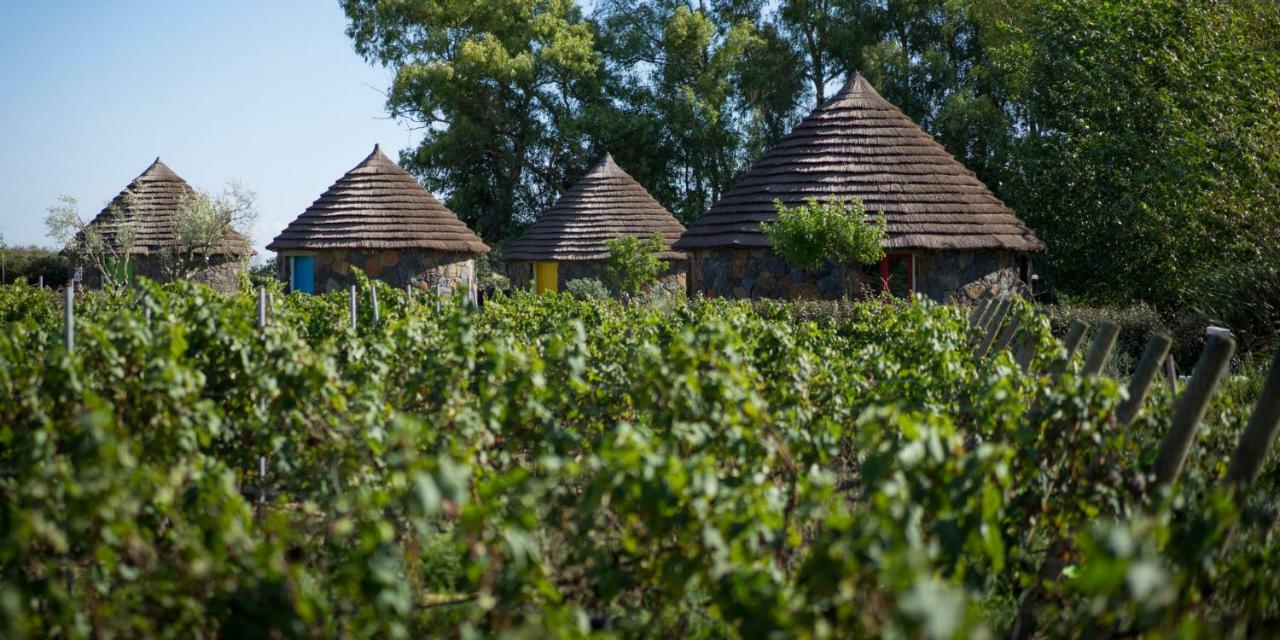 Is Cheas wine farm boutique hotel San Vero Milis Extérieur photo